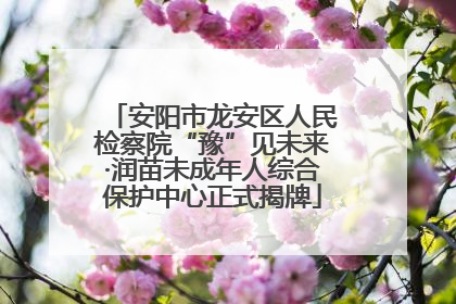 安阳市龙安区人民检察院“豫”见未来·润苗未成年人综合保护中心正式揭牌