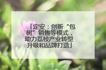 定安：创新“包树”销售等模式，助力荔枝产业转型升级和品牌打造