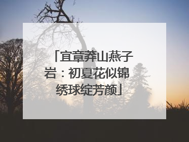宜章莽山燕子岩：初夏花似锦 绣球绽芳颜