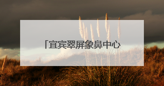 宜宾翠屏象鼻中心校：“幼芽”初探新枝，衔接共育未来