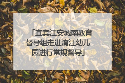 宜宾江安城南教育督导组走进淯江幼儿园进行常规督导