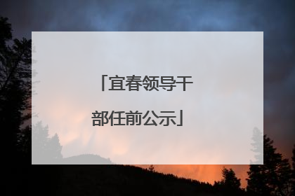 宜春领导干部任前公示