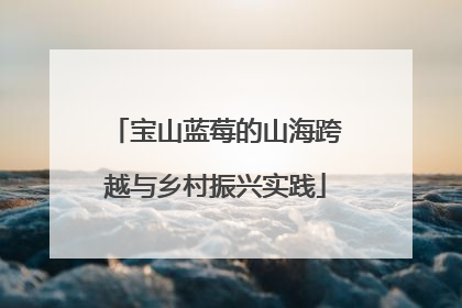 宝山蓝莓的山海跨越与乡村振兴实践