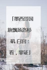 墨西哥国旗飘扬洛杉矶 白宫：看，罪证