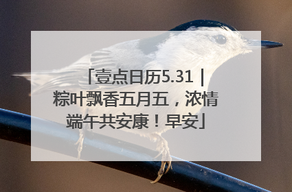 壹点日历5.31｜粽叶飘香五月五，浓情端午共安康！早安