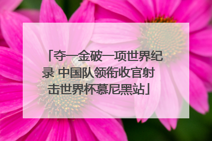 夺一金破一项世界纪录 中国队领衔收官射击世界杯慕尼黑站