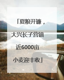 夏粮开镰，大兴长子营镇近6000亩小麦迎丰收