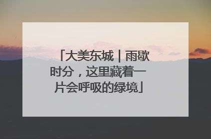 大美东城｜雨歇时分，这里藏着一片会呼吸的绿境