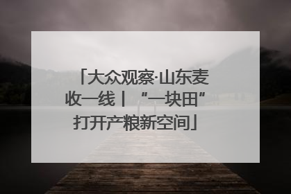 大众观察·山东麦收一线丨“一块田”打开产粮新空间