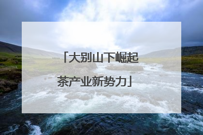 大别山下崛起茶产业新势力