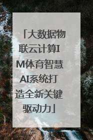 大数据物联云计算IM体育智慧AI系统打造全新关键驱动力