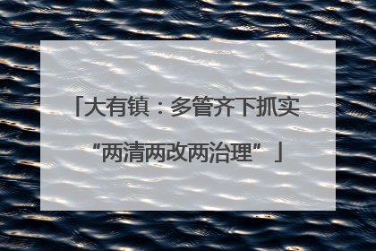 大有镇：多管齐下抓实“两清两改两治理”