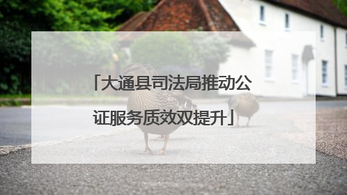 大通县司法局推动公证服务质效双提升