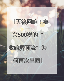 天籁回响！嘉兴500岁的“收藏界顶流”为何再次出圈