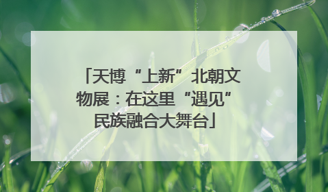 天博“上新”北朝文物展：在这里“遇见”民族融合大舞台