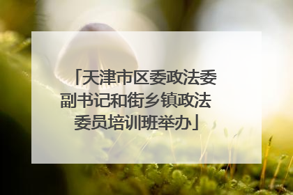 天津市区委政法委副书记和街乡镇政法委员培训班举办