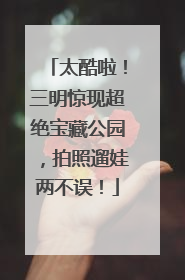 太酷啦！三明惊现超绝宝藏公园，拍照遛娃两不误！