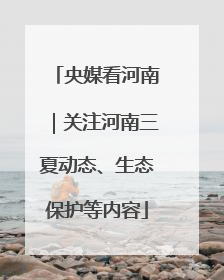 央媒看河南｜关注河南三夏动态、生态保护等内容