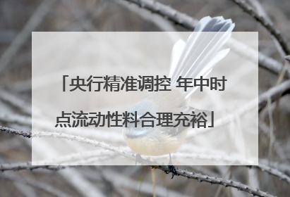 央行精准调控 年中时点流动性料合理充裕