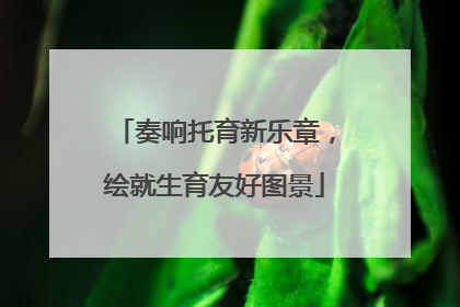 奏响托育新乐章，绘就生育友好图景