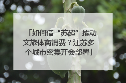 如何借“苏超”撬动文旅体商消费？江苏多个城市密集开会部署