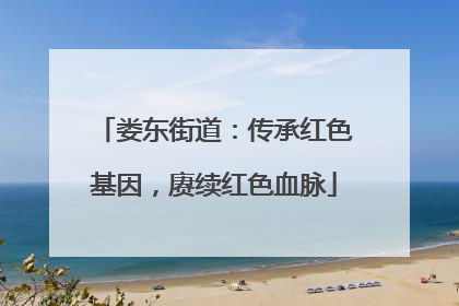 娄东街道：传承红色基因，赓续红色血脉