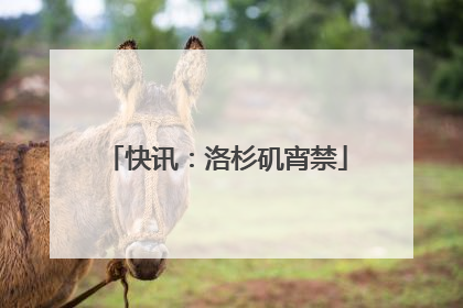 快讯：洛杉矶宵禁