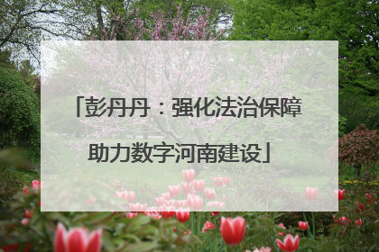 彭丹丹：强化法治保障 助力数字河南建设