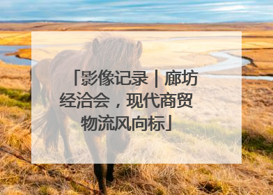 影像记录｜廊坊经洽会，现代商贸物流风向标