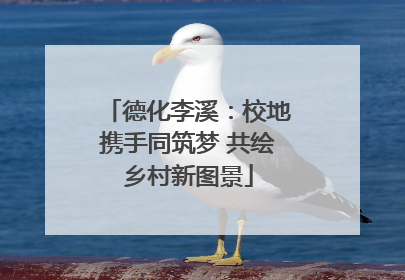 德化李溪：校地携手同筑梦 共绘乡村新图景