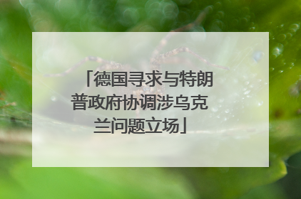 德国寻求与特朗普政府协调涉乌克兰问题立场