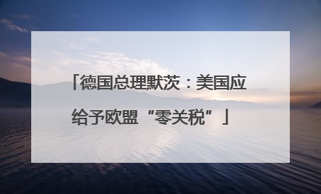 德国总理默茨：美国应给予欧盟“零关税”
