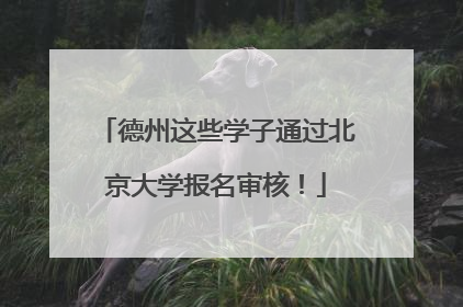 德州这些学子通过北京大学报名审核！