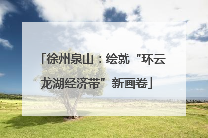 徐州泉山：绘就“环云龙湖经济带”新画卷
