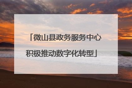 微山县政务服务中心积极推动数字化转型