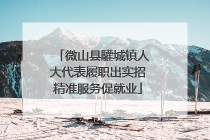 微山县驩城镇人大代表履职出实招精准服务促就业