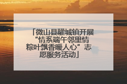 微山县驩城镇开展“情系端午邻里情 粽叶飘香暖人心”志愿服务活动