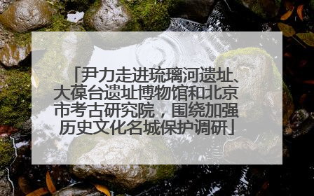 尹力走进琉璃河遗址、大葆台遗址博物馆和北京市考古研究院，围绕加强历史文化名城保护调研
