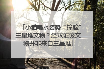 小猫喝水姿势“撞脸”三星堆文物？经求证该文物并非来自三星堆