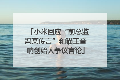 小米回应“前总监冯某传言”和猫王音响创始人争议言论