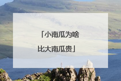小南瓜为啥比大南瓜贵