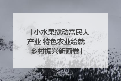 小水果撬动富民大产业 特色农业绘就乡村振兴新画卷