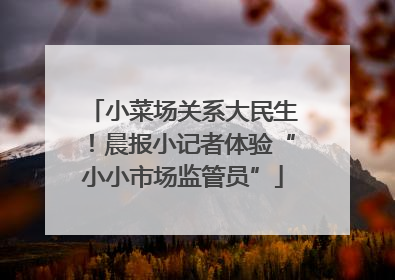 小菜场关系大民生！晨报小记者体验“小小市场监管员”