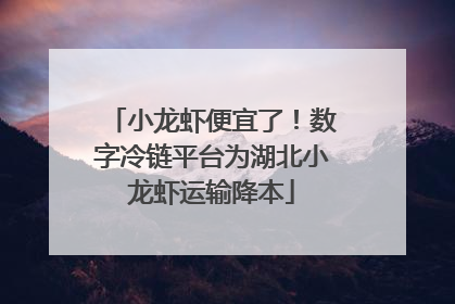 小龙虾便宜了！数字冷链平台为湖北小龙虾运输降本