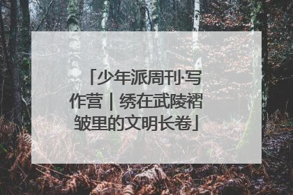 少年派周刊·写作营｜绣在武陵褶皱里的文明长卷