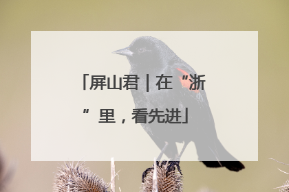 屏山君｜在“浙”里，看先进