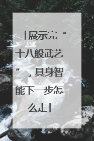 展示完“十八般武艺”，具身智能下一步怎么走