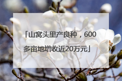 山窝头里产良种，600多亩地增收近20万元