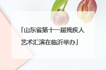 山东省第十一届残疾人艺术汇演在临沂举办