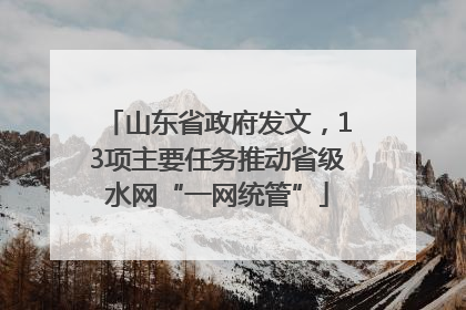 山东省政府发文，13项主要任务推动省级水网“一网统管”